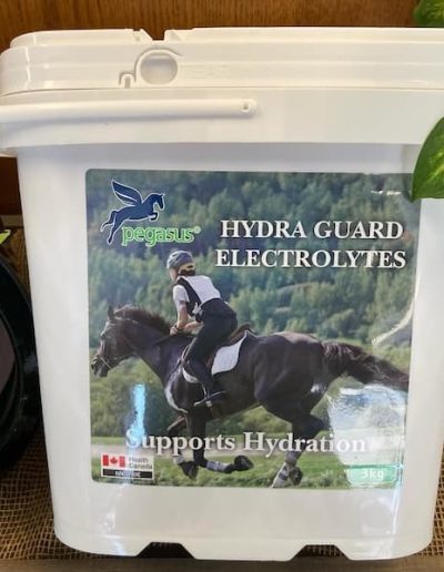 Agri Supply Pegasus Electrolytes for horses in bucket
