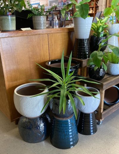 Agri Supply ceramic pots