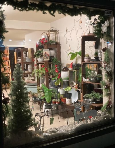 Agri Supply looking in store window at holiday time