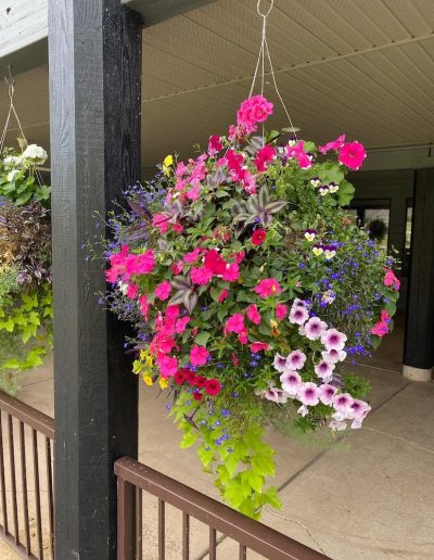 Agri Supply planters for sale